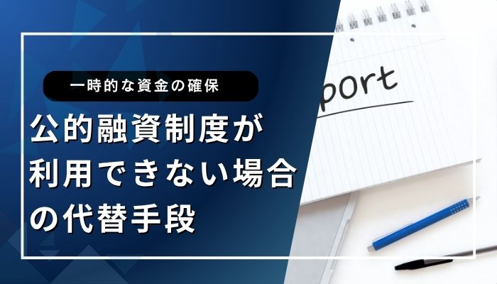 公的融資制度が利用できない場合の代替手段
